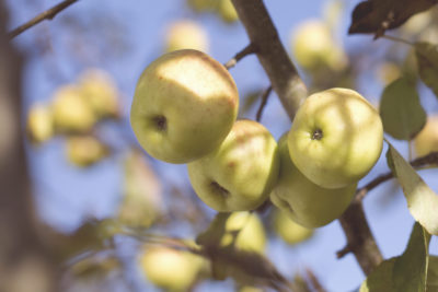 (Foto: Tim Mossholder -www.unsplash.com)