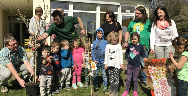 Grüne spenden wieder Obstbäume an KITA – diesjähriger Gewinner Kindergarten „Sonnenblume“
